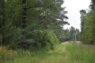 1544 Isabella Rd, Kingstree, SC 29556 - photo 5