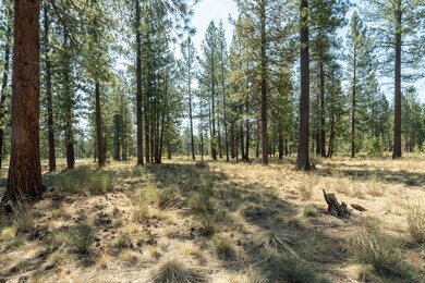 Central Oregon Beauty