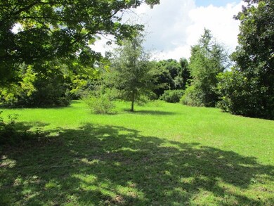 1305 S County Line Rd, Albany, GA 31705 - photo 4