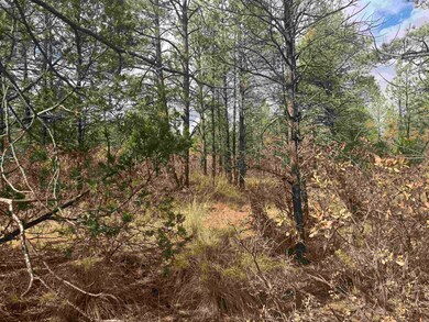 0 Summer Dr unit 171889, Timberon, NM 88350 - photo 4