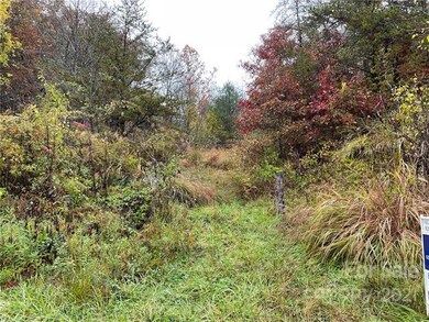 Look for the two Posts to start Trail on Beech Gle