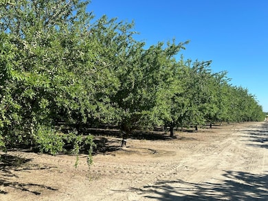 0 Nec Chestnut & Mountain View Ave unit 613340, Selma, CA 93662 - photo 7