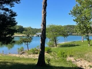 33 Bonanza Dr, Kimberling City, MO 65686 - photo 4