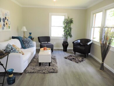 317 Roosevelt St, Johnson City, TN 37601 - photo 3