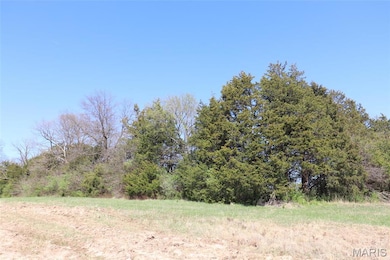 0, Fulton, MO 65251 - photo 6