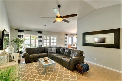 Large Living Room