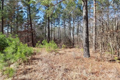 1092 Ledge Wood Ln unit 16, Clover, SC 29710 - photo 3