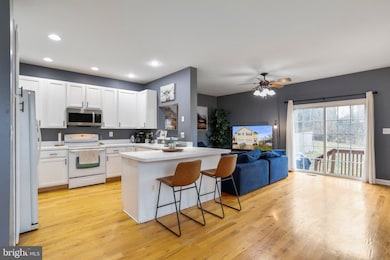 826 Colley Block Rd, Strasburg, VA 22657 - photo 5