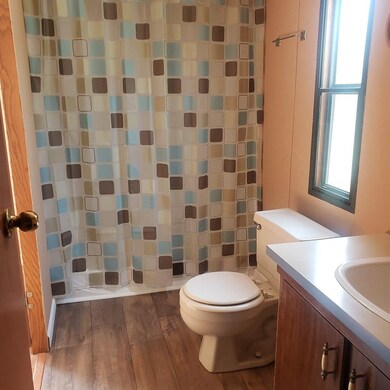 Photo 5