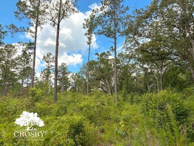 0 Hollow Creek Farm Rd, Aiken, SC 29803 - photo 5