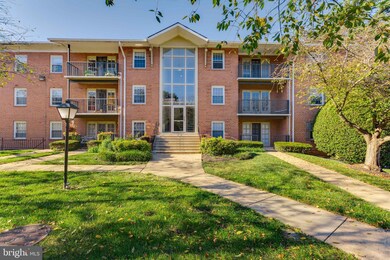 3330 Spring Ln unit D36, Baileys Crossroads, VA 22041 - photo 4