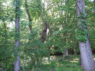 Green Space and Drainage Easement to rear of Property