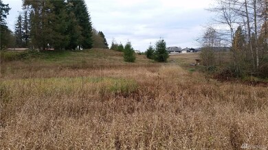 2715 292nd St NW, Stanwood, WA 98292 - photo 7