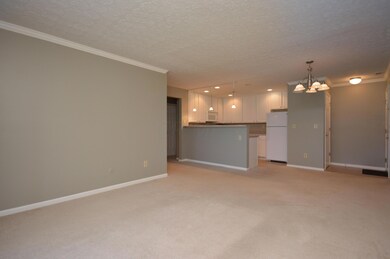 Living Room- Kitchen