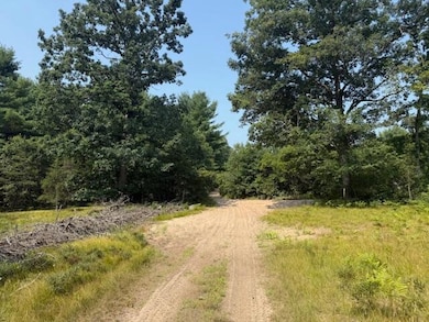 624 W 12th St, Baldwin, MI 49304 - photo 6