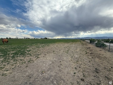 View of yard featuring a view of rural / pastoral area