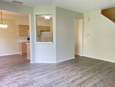 1535 Spaulding Rd unit 463, Bartlett, IL 60103 - photo 5