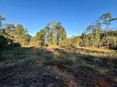 TBD Alternate 97, Abbeville, AL 36310 - photo 3