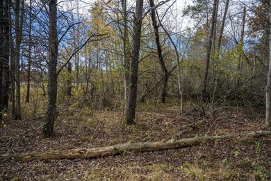 6.45 Ac Dublin Rd, Tomah, WI 54660 - photo 7