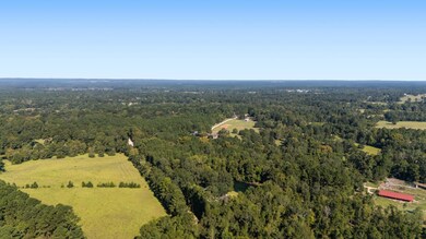 TBD Old Israel Rd, Livingston, TX 77351 - photo 7