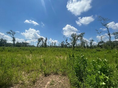 0 Creel Rd unit 23965084, Theodore, AL 36582 - photo 6