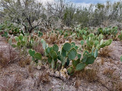 0 Cameron Lane - 40 Acres unit 468248, Fowlerton, TX 78021 - photo 6