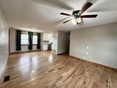 201 N Bobbie Smith St, Diamond, MO 64840 - photo 4