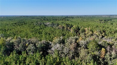 0 Antioch Cemetery Rd, Folkston, GA 31537 - photo 5
