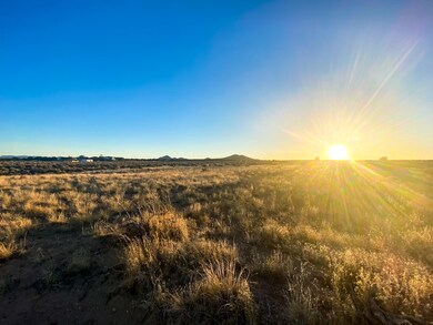 IMG_1986_jpg