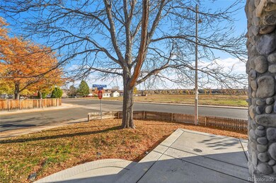 12101 Cherrywood St, Broomfield, CO 80020 - photo 5