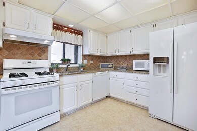 1233 Chalet Rd unit 201, Naperville, IL 60563 - photo 2