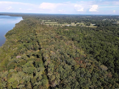 000 Charton Rd, Plumerville, AR 72127 - photo 4