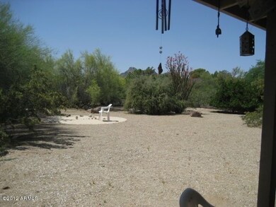 back yard 1