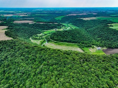 Rooster Valley Rd, Spring Grove, MN 55974 - photo 5