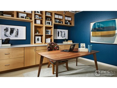 14194 Jackson St, Thornton, CO 80602 - photo 4