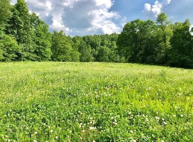 0 Ray Hodgin Rd, Crossville, TN 38571 - photo 5