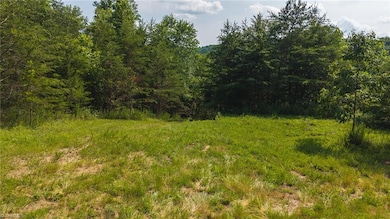 000 Old Vashti Rd unit 2, Taylorsville, NC 28681 - photo 2