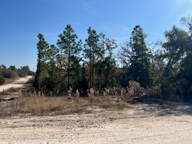 0 NE 127th Ct unit 796113, Williston, FL 32696 - photo 6