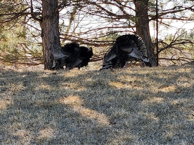 TBD Tbd, Big Timber, MT 59011 - photo 6