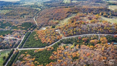 11677 Elk Ridge, Wesley, AR 72773 - photo 5