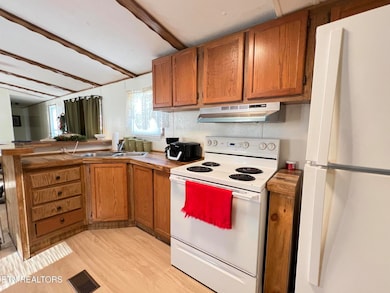 106 Meadowview Ln, Decatur, TN 37322 - photo 7