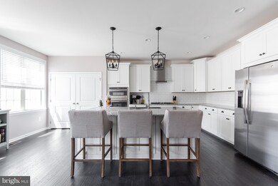 42605 Lisburn Chase Terrace, Chantilly, VA 20152 - photo 2