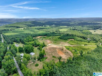 22 Blackberry Ln, Remlap, AL 35133 - photo 5