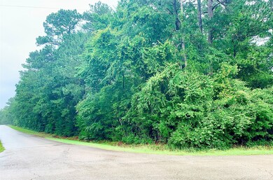 0000 Becky Ln, Magnolia, TX 77354 - photo 3