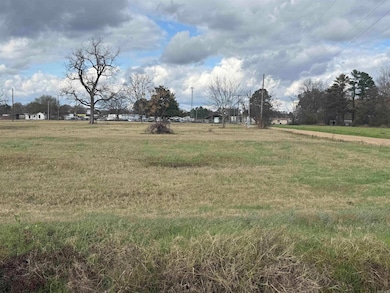 00 S 10th St unit South Tenth Street,, Clarendon, AR 72029 - photo 2