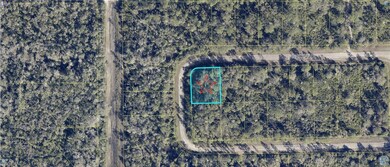 395 Ursula Ln, Lehigh Acres, FL 33972 - photo 2