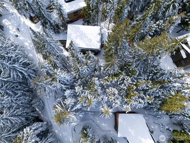 230 Tanner Way, Snoqualmie Pass, WA 98068 - photo 2