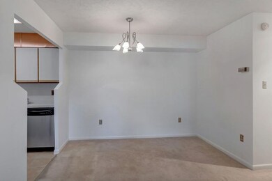 134 Turtle Creek Rd unit 8, Charlottesville, VA 22901 - photo 5