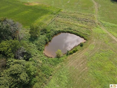 213 Coral Hill Halfway Rd, Glasgow, KY 42141 - photo 5