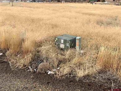 0 Road North 6 Loop unit 35 766006, Cortez, CO 81321 - photo 2